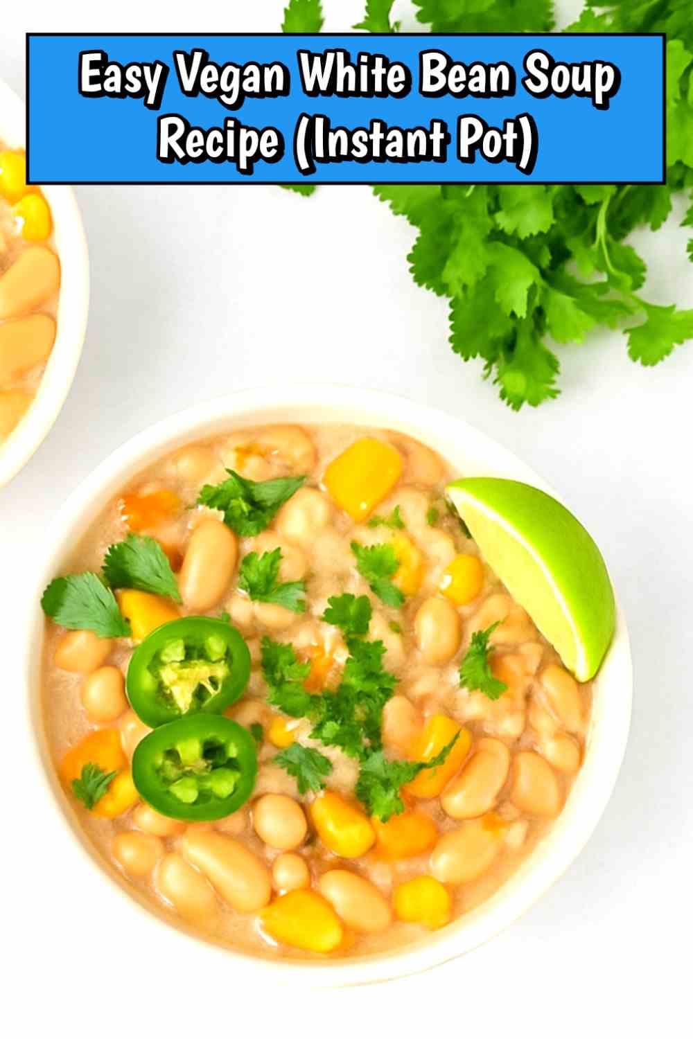 easy vegan white bean soup recipe instant pot 01