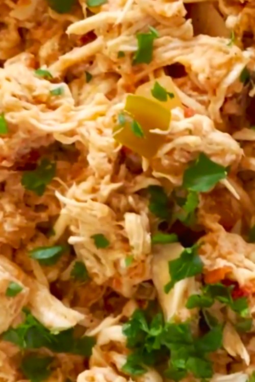 salsa chicken crockpot recipe 03