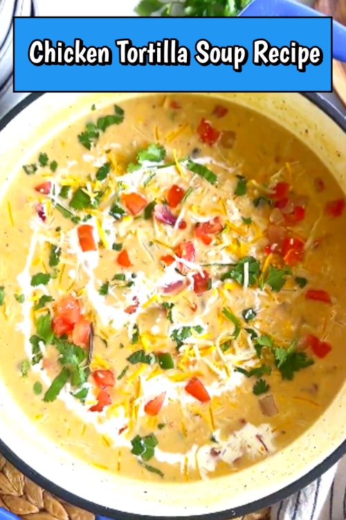simple chicken tortilla soup recipe 02