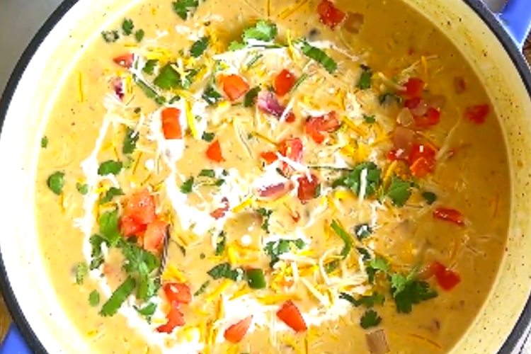 simple chicken tortilla soup recipe 06